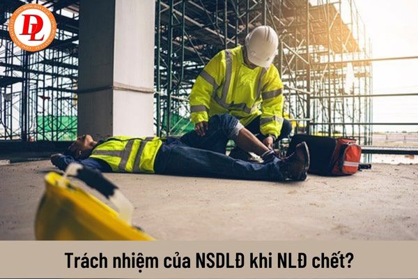 Trách nhiệm sử dụng lao động là một trong những yếu tố quan trọng của một công ty hiện đại và đạo đức. Chúng ta cần đảm bảo tất cả nhân viên được trả công xứng đáng và được đối xử công bằng. Đây cũng đồng nghĩa với việc xây dựng sự tín nhiệm và lòng tin từ khách hàng, đối tác và cộng đồng.